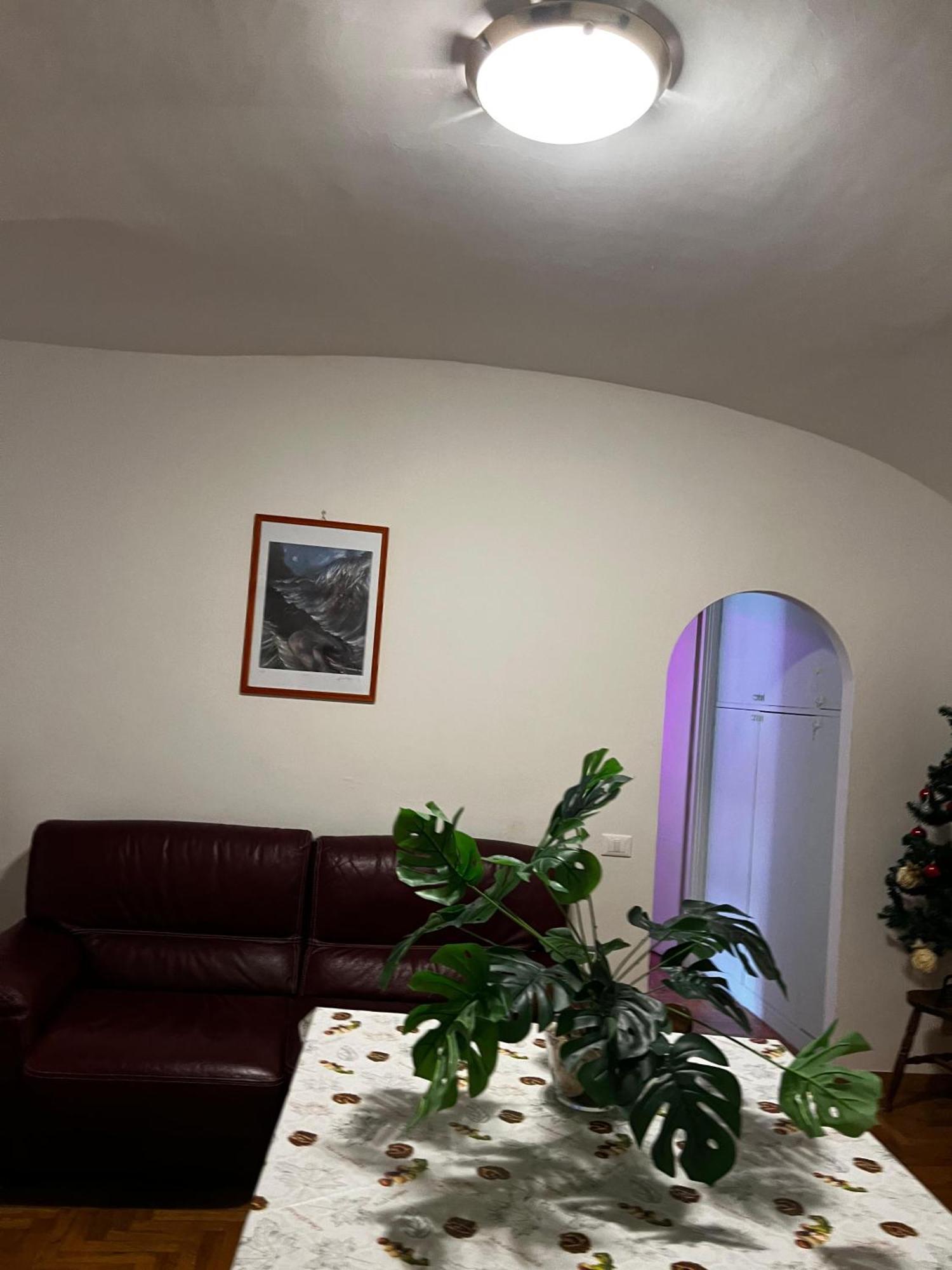 Al Colosseo Appartamento Vintage 罗马 外观 照片